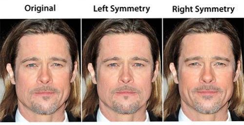 facial symmetry